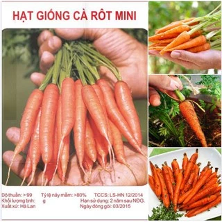 Hạt giống Củ Cà rốt Mini ( Cà Rốt Tí Hon )  Gói 100 hạt