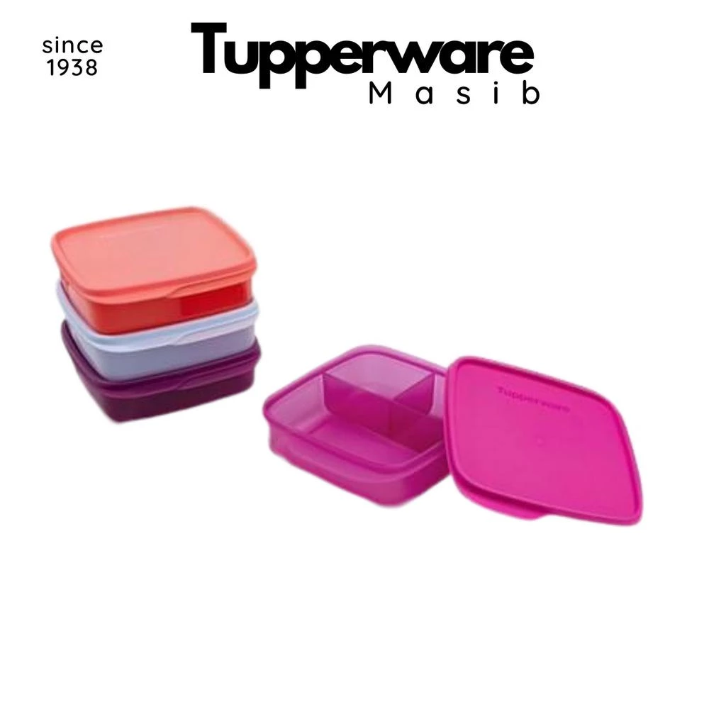 Bộ Hộp Cơm Nhựa Nguyên Sinh Lolly Tup 3 ngăn Màu mới 2023 Tupperware