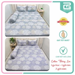 Bộ ga gối {4 món}100% Cotton chuẩn logo họa tiết Cây Cổ Thụ