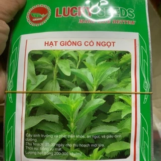 Hạt giống cỏ ngọt LUCKY SEEDS