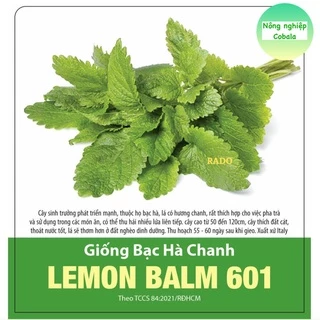 Hạt Giống Bạc Hà Chanh (LEMON BALM 601) 1gr