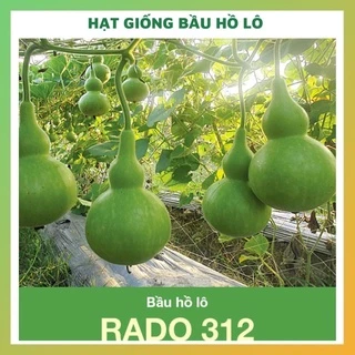 Hạt giống bầu hồ lô cao sản - rau củ quả chịu nhiệt 4 mùa ngon giòn ngọt nảy mầm cao 10 hạt RADO 3120