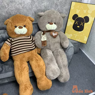 Gấu Bông Lông Xù, Gấu Bông Teddy Head Tales Siêu To Khổng Lồ - Gấu Xinh - G70