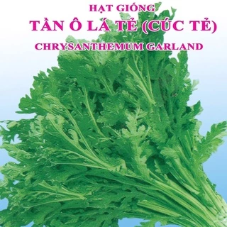 Hạt giống cải cúc tẻ (rau tần ô) KNS1438 - Gói 100gram