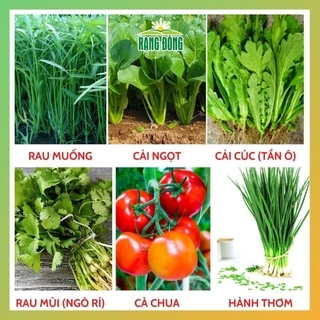 Hạt giống rau củ quả COMBO 6 loại rau chịu nhiệt 4 mùa trồng chậu, vườn dễ chăm sóc, tỷ lệ nảy mầm cao RADO