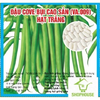 shophouse Gói 10gr hạt giống đậu cove trắng  SHOP HOUSE  TẾT KHUYẾN MẠI