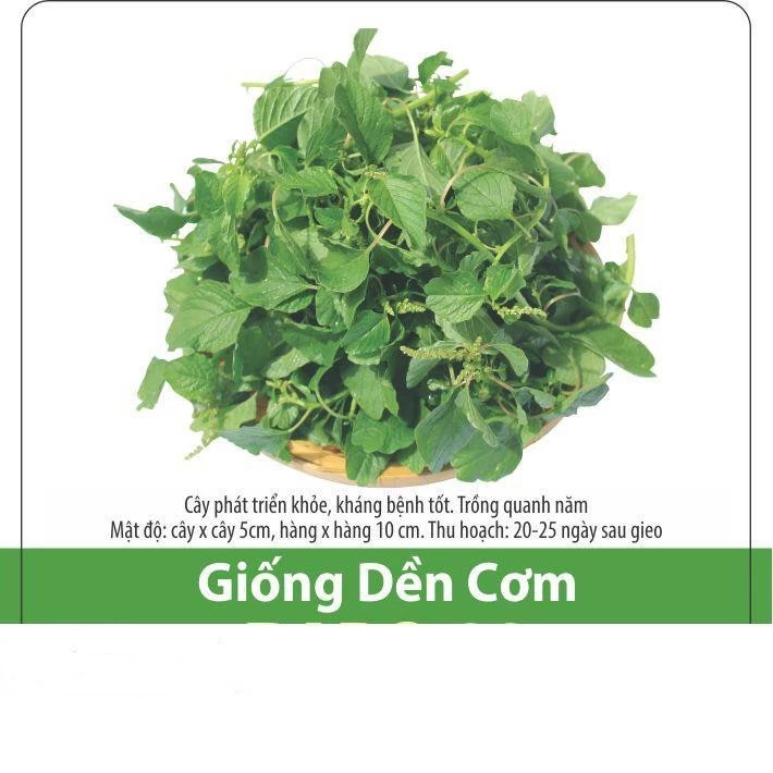 Rau dền cơm đồng Rd 338 (20g)