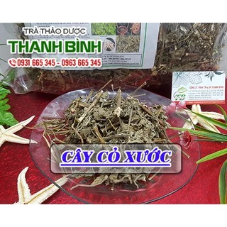 Cây Cỏ Xước 100g (Khô) - 100% Thiên Nhiên