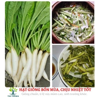 Hạt giống củ cải ăn lá 20g (cải kẹp, rau mướp bú) (lá to, có vị đặc trưng, mùi thơm)