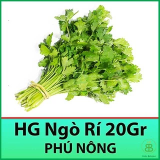 Hạt Giống Mùi Cồn Tía - Hạt Giống Ngò Rí 20Gr