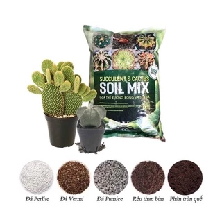 Giá thể đất trồng sen đá xương rồng cao cấp Soil Mix 15dm (khoảng 6kg)