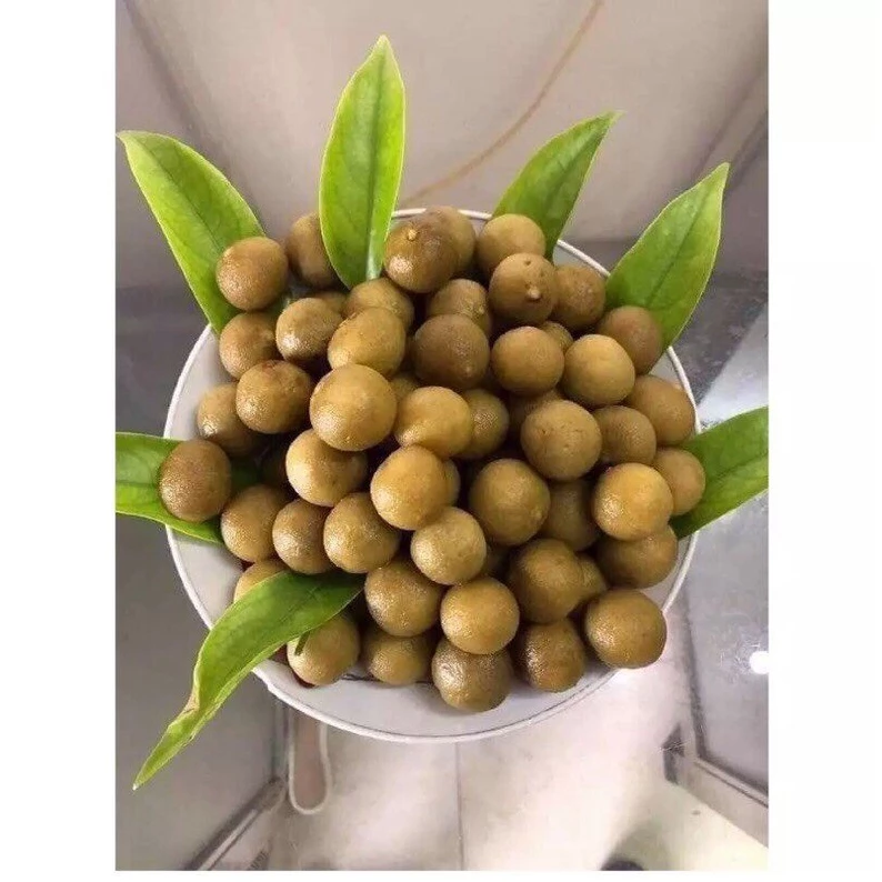[Tặng muối] Sấu rim Chua cay ,sấu ô mai , sấu ngâm đường , sấu trái sấu chua cay