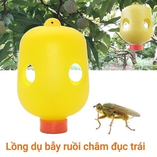 bẫy ruồi vàng, ruồi đục trái bảo vệ cây trồng