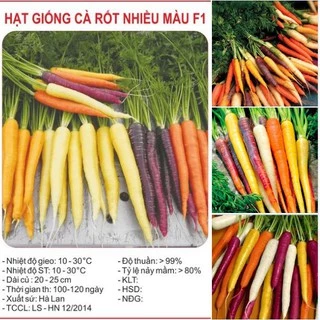 Hạt giống cà rốt nhiều màu F1 - 0,2gr/gói