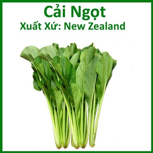 Hạt giống cải ngọt (20gr)