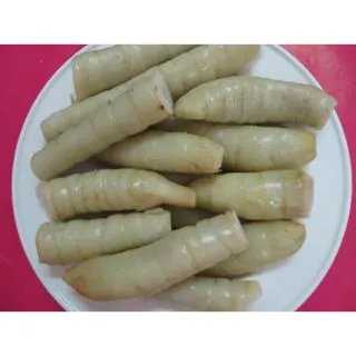 bụi cây củ bình tinh ( dong riềng, lùn dài )