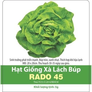 Hạt giống xà lách búp RADO 5gram