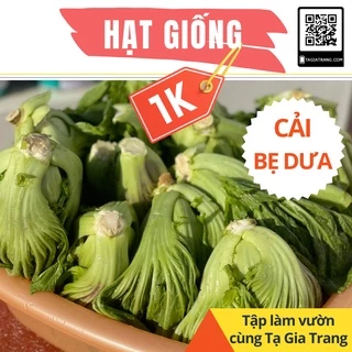 Deal 1K - 100 Hạt giống rau cải bẹ dưa (cải bẹ đông dư, cải bẹ trám) - Tập làm vườn Tạ Gia Trang
