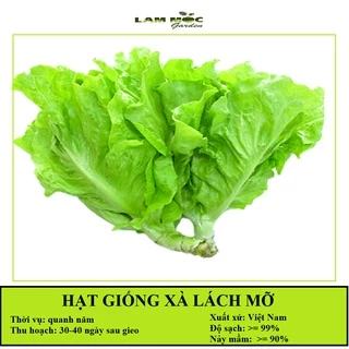 Hạt Giống Xà Lách Mỡ TT31 Gói 10gr