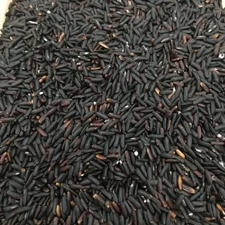 Gạo lứt đen dẻo Điện Biên thơm ngon (gói 500g-1kg) Hút chân không
