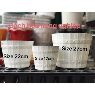 chậu thùng gỗ size 27cmx27cm