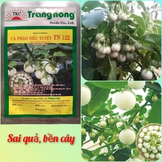 Hạt giống cà pháo trắng siêu quả Trang Nông gói 1gr