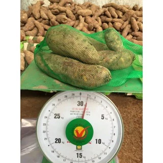 khoai lang mật Tà Nung-Đà Lạt size 6-8 củ 1kg. Combo 5kg