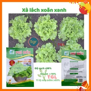 Hạt Giống Xà Lách Xoăn Xanh PD127 Phú Điền- Hạt giống rau củ quả Ngon Ngọt Giòn - Gói 5gr