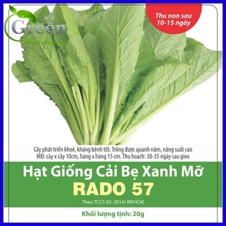 Hạt Giống Cải Bẹ Xanh Mỡ 20 Gam