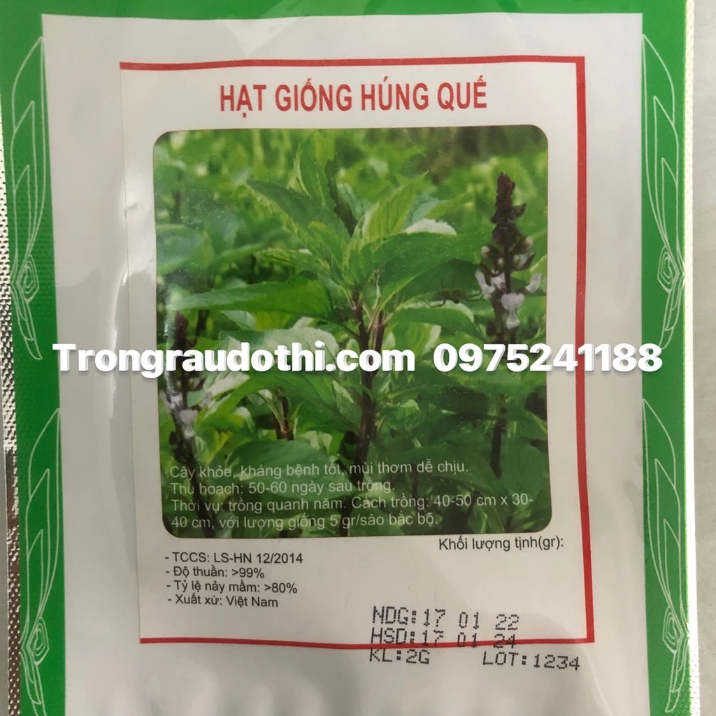 Hạt giống rau húng quế (gói 2gram)