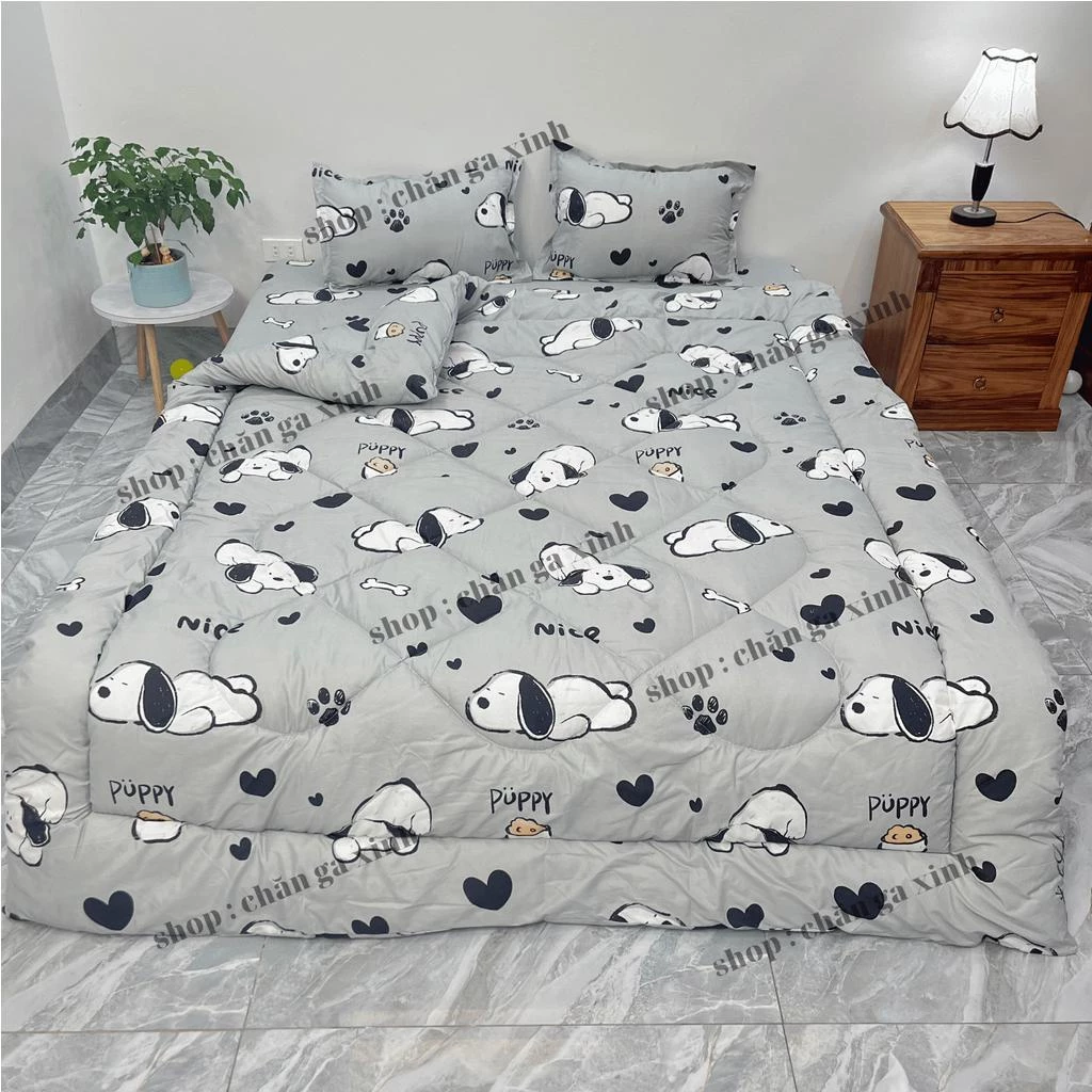 Bộ 5 món chăn phao ga gối poly cotton 5 món hàng loại 1 chăn mền có ruột bông dày