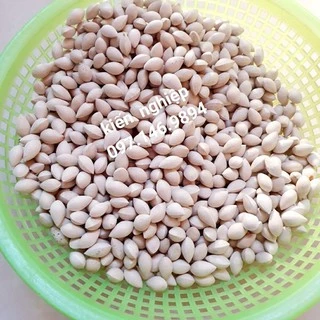 500 gram-1 kg Bạch Quả Loại To Nấu Chè Chưng Yến