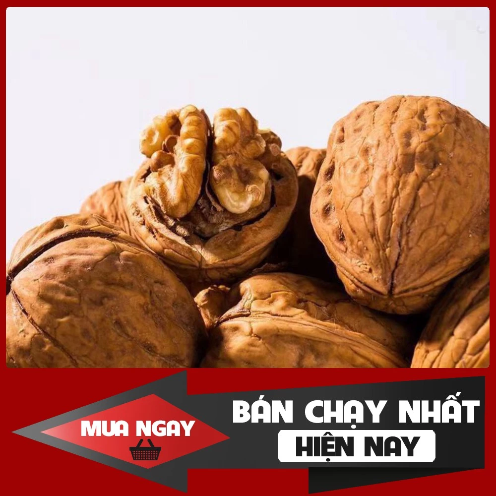 [HÀNG LOẠI 1] Hạt óc chó nếp sấy khô Tây bắc 500g tốt cho phụ nữ mang thai và cho trẻ nhỏ