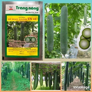 Hạt giống bí sặt (bí đao xanh) trang nông gói 2gram