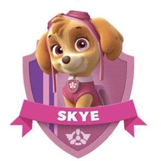 Nhân vật Skye của đội chó cứu hộ Paw Ptrol