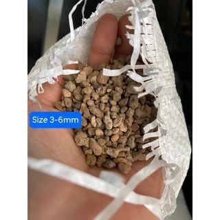 Đá Pumice dùng trồng sen đá, lan, cây kiểng lá( Gói 500g)