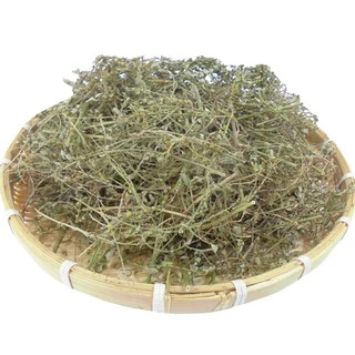 Diệp Hạ Châu ( Lá Chó Đẻ Răng Cưa) khô,sach 200 gram.