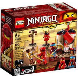 Đồ chơi Ninjago  SGY95 Ninja