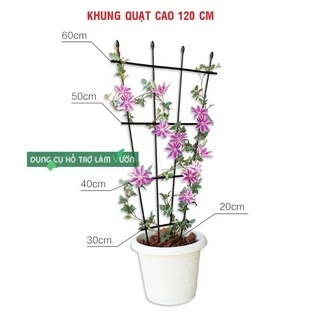 Khung trồng cây cao 120cm kiểu quạt khung trồng hoa leo