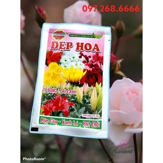 Phân Bón Lá Chuyên Dùng Cho Hoa - Đẹp Hoa (Gói 60g)