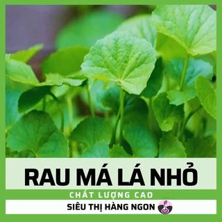 Hạt giống RAU MÁ LÁ NHỎ 0,5g - Chất lượng cao