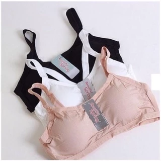 Áo Bra 3 Dây Cotton Có Đệm Ngực - LADY