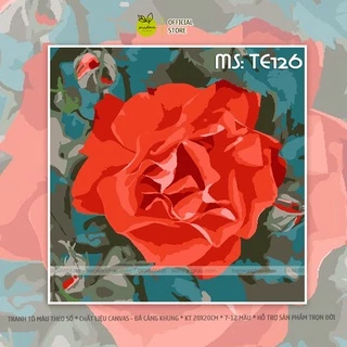 Tranh tô màu theo số Madoca khung 20x20cm hoa hồng đỏ TE126