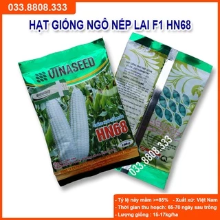 Hạt Giống Ngô Nếp Dẻo Thơm Ngon Đều Hạt HN68 Gói 300gram