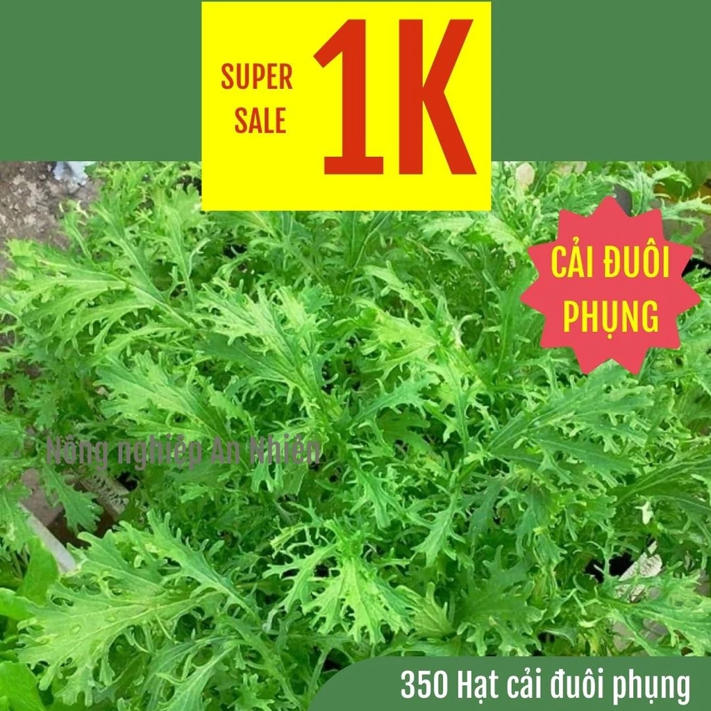 [SALE1K] 350 Hạt Cải Xanh đuôi phụng