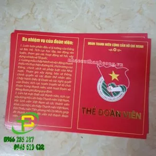 Combo 100 THẺ ĐOÀN VIÊN