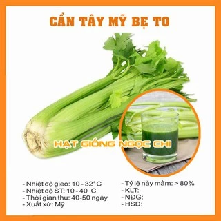 Hạt Giống Cần Tây Mỹ Ngọt Bẹ To Chuyên Ép Nước - 1Gram