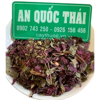 1KG Lá Đơn Đỏ (Đơn Lá Đỏ, Đơn Mặt Trời) Khô, Sạch Hỗ Trợ Mề Đay, Mẩn Ngứa, Viêm Da Cơ Địa