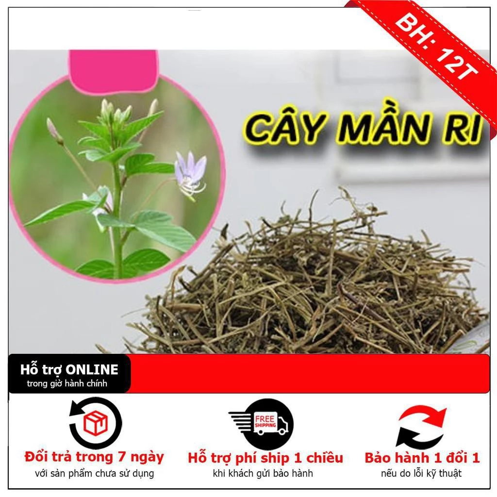 Cây Mần Ri Khô 1Kg - Hàng Công Ty Chất Lượng - Thảo Dược Thanh Bình