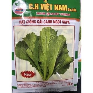 Hạt giống cải canh ngọt SAPA New 20 gram ☘️